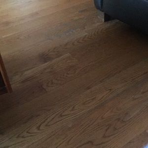 Meet your Posher, Wendy